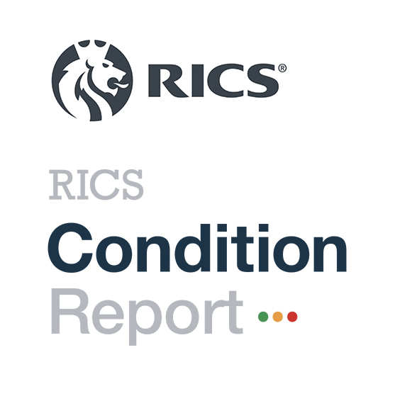 RICS Condiiton Report
