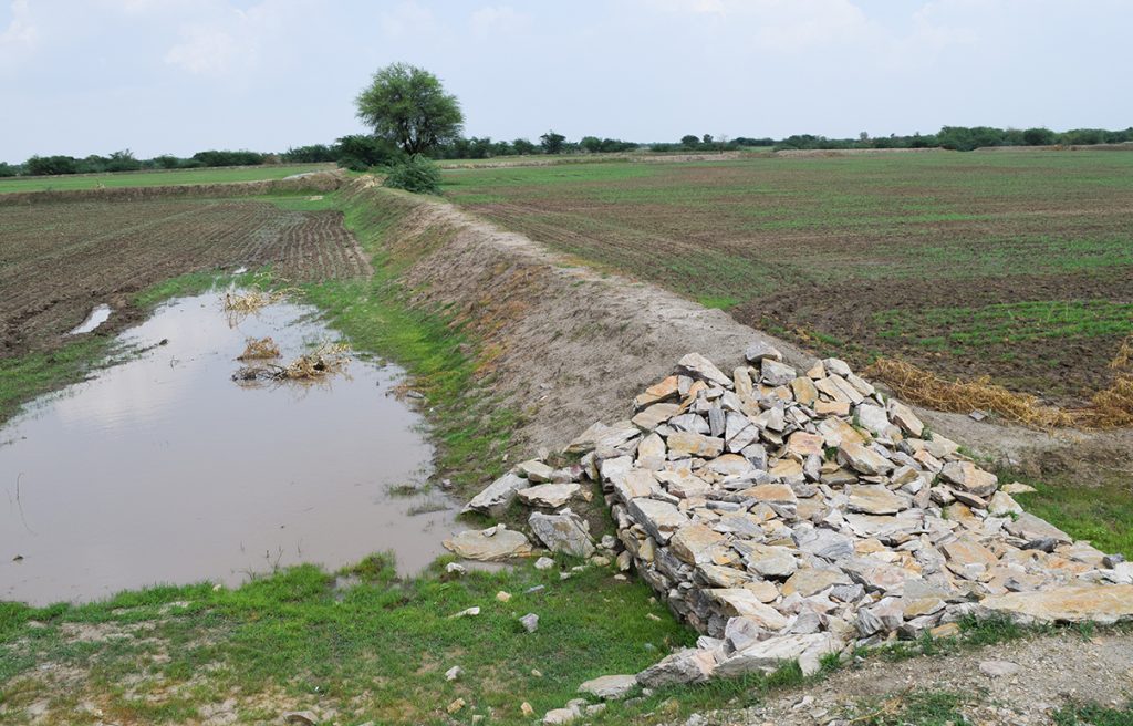pollution containment - bunds