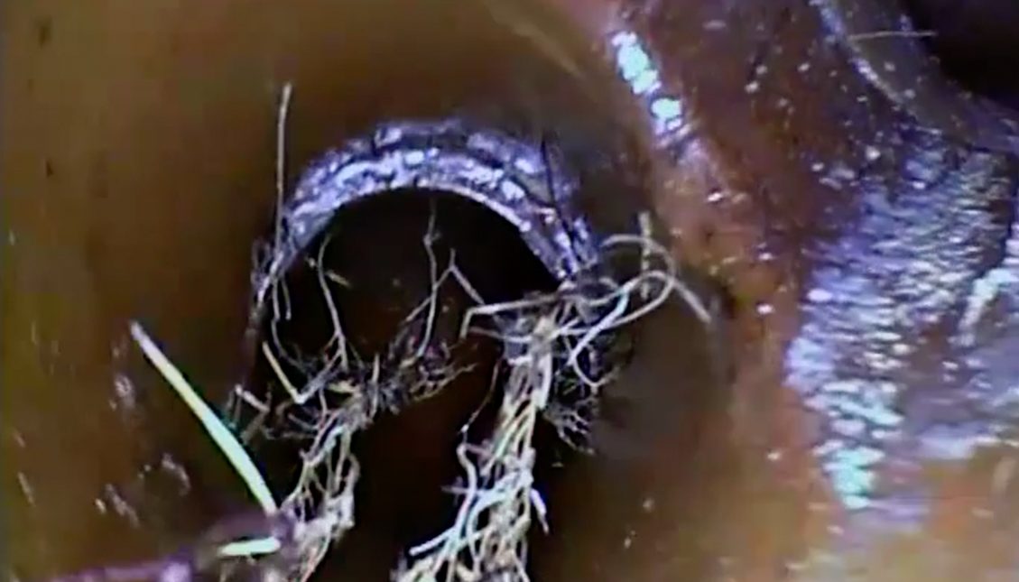 Cctv Drain Surveys
