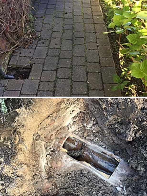 back yard repair