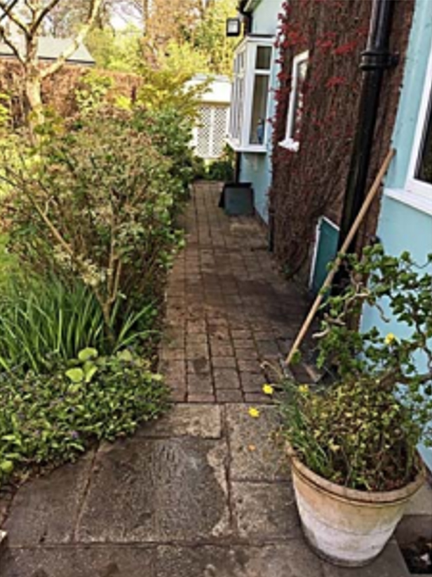 back yard with leak