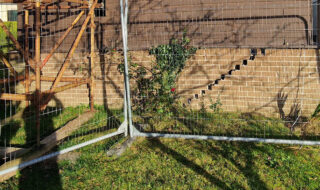 Subsidence Guide (Part 1)